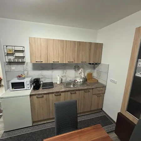 Dragicevic - Stan Na Dan Apartment