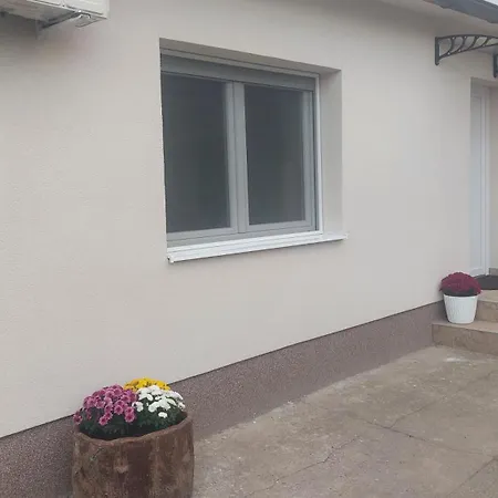 Dragicevic - Stan Na Dan